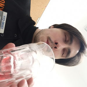 MaximEliseev228