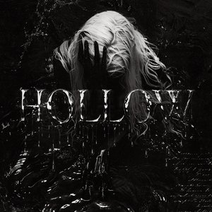 Bild für 'hollow'