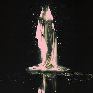 Image for 'Moth'