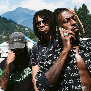 Image for 'Flatbush ZOMBiES'