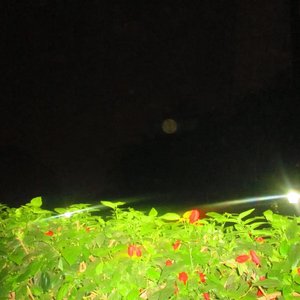 Image for 'caer sin ti'