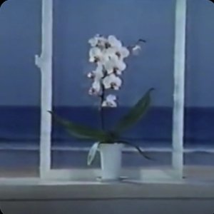 Image for '水​に​流​す'