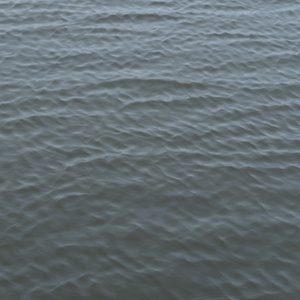 Image for 'Hai'