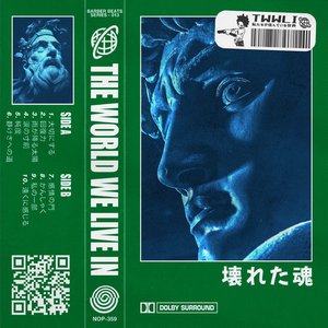 Image for '壊れた魂'