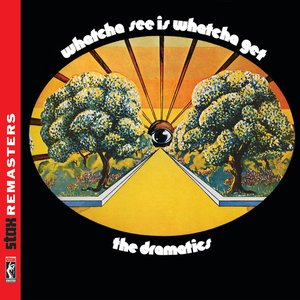 Image for 'Whatcha See Is Whatcha Get [Stax Remasters]'