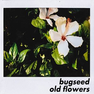 Immagine per 'Old Flowers'