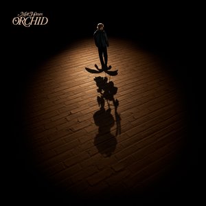 Image for 'Orchid'