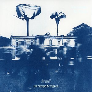 Image for 'Un Campo de Flores'