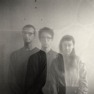 Image for 'Braids'