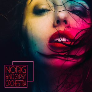 Image for 'Norig & No Gypsy Orchestra'