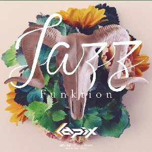 Zdjęcia dla 'JazzFunktion'