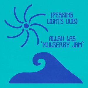 Immagine per 'Mulberry Jam (Peaking Lights Dub)'