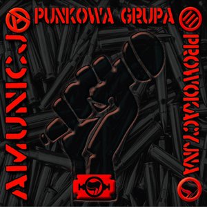 Image for 'Punkowa Grupa Prowokacyjna'