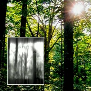 Image for 'One Day You’ll See The Sun'