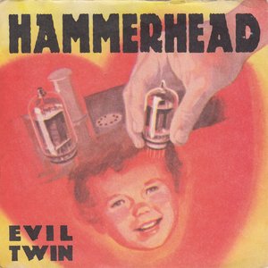 Bild für 'Evil Twin'
