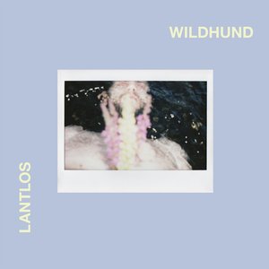 Image for 'Wildhund'