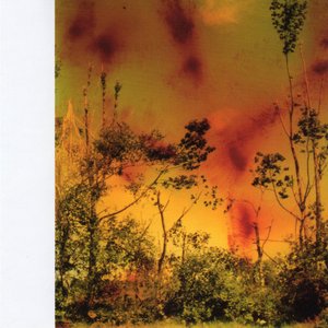 Image for 'Music for Plants'