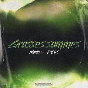 Image for 'Grosses Sommes'