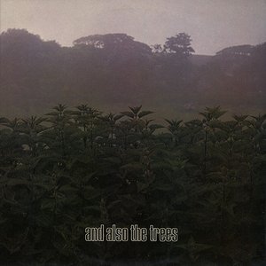 Image for 'And Also the Trees'