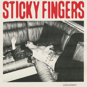 Image for 'LEKKERBOY (Deluxe)'