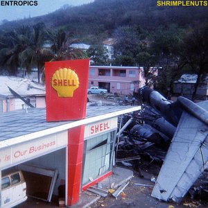 Image for 'Entropics'