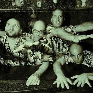 Imagem de 'Swami John Reis & the Blind Shake'