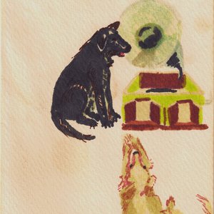 'Lucky Dog' için resim