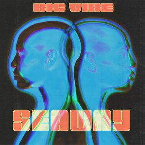 Image for 'Big Vibe'