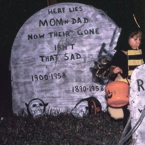 Image for 'The Spirit of the Beehive'