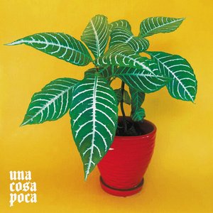 “Una Cosa Poca”的封面