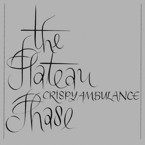 Image pour 'The Plateau Phase'