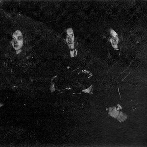 Image for 'Forgotten Woods'