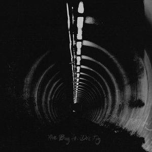 Image for 'In Blue'