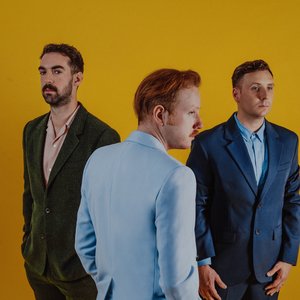Immagine per 'Two Door Cinema Club'