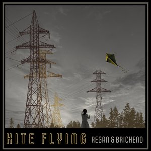 Zdjęcia dla 'Kite Flying'