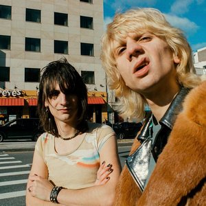 Image for 'The Lemon Twigs'