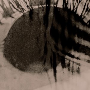 Immagine per 'Evergray'