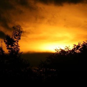 Image for 'Autumnal Silence'