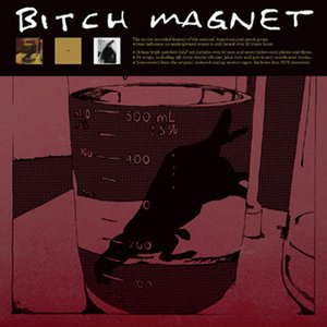'Bitch Magnet' için resim