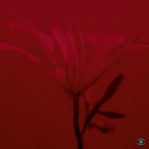 Image for 'Éire'