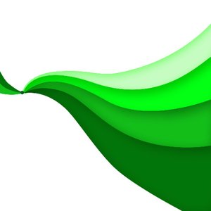 Image for 'The Faraway Green'