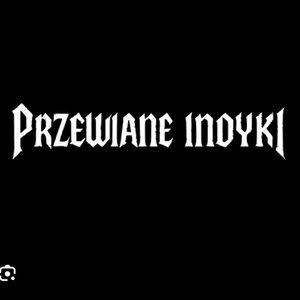 Image for 'Przewiane Indyki'