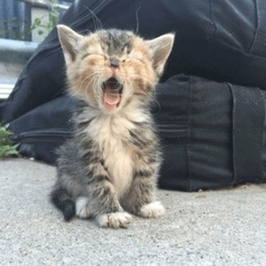 Изображение для 'COME HOME SOON'