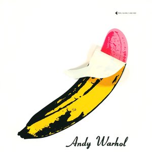 Immagine per 'The Velvet Underground & Nico (Mono)'