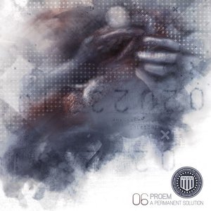 Image for 'A Permanent Solution'