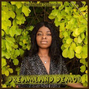 Image for 'Dreamland Demos'