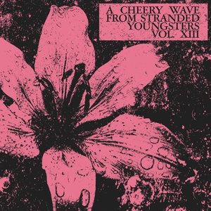 Image for 'A Cheery Wave From Stranded Youngsters: Vol. XIII'
