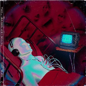Image for 'The Sound A Body Makes When It's Still'