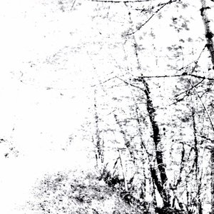 Image for 'The White EP'