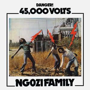 Image for '45,000 Volts'
